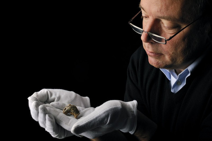 Prof. Dr. Nicholas J. Conard