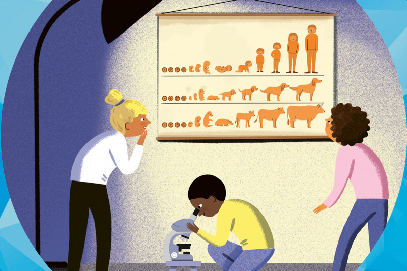 Illustration: Zwei Kinder betrachten Poster, das Entwicklungsstadien von Embryo bis ausgewachsenem Mensch, Hund, Schwein zeigt