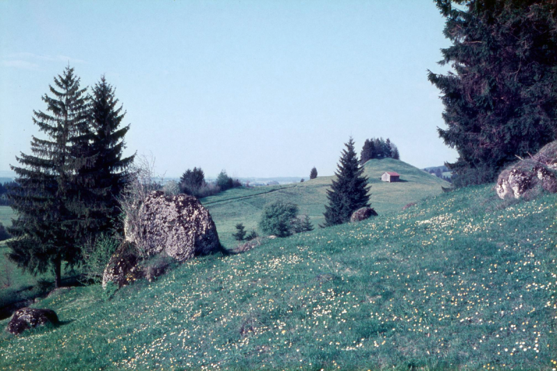 Findling bei Bodelsberg