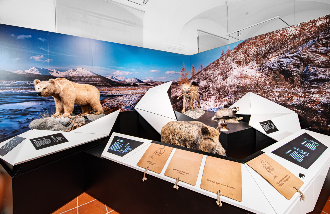 Eiszeitliche Tiere im Ausstellungsraum