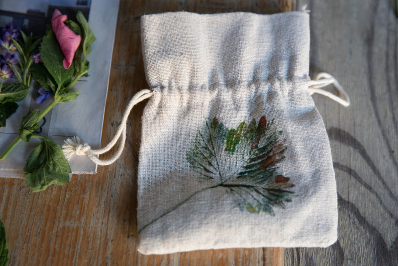 Getrocknete Kräuter und Blüten in Glasröhrchen